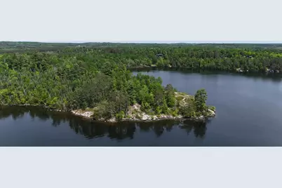 Tbd 11.85 Bessette Road, Orr, MN 55771 - Photo 39