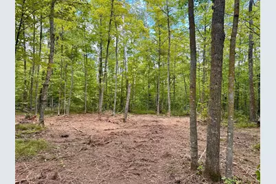 Tbd County Road 157 NE, Remer, MN 56672 - Photo 5