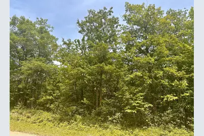 Tbd County Road 157 NE, Remer, MN 56672 - Photo 11