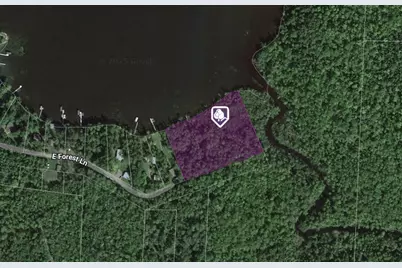 Tbd E Forest Lane, Fine Lakes Twp, MN 55798 - Photo 1