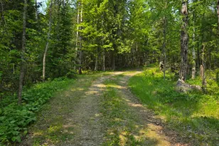 10898 Bessette Rd, Orr, MN 55771 - Photo 51