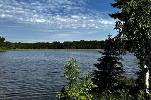 17251 State Hwy 6, Deerwood, MN 56444 - Photo 7