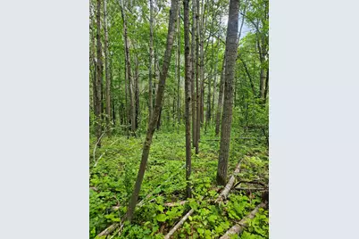 Parcel E Rogue Way, Ironton, MN 56455 - Photo 9