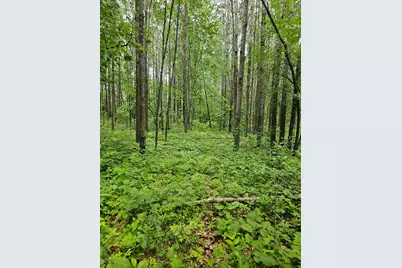 Parcel E Rogue Way, Ironton, MN 56455 - Photo 17