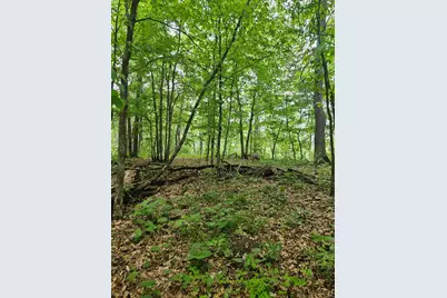 Parcel E Rogue Way, Ironton, MN 56455 - Photo 11