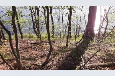 40039 County Rd 17, Browerville, MN 56438 - Photo 9