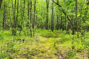 2922 Hwy 11 S, Loman, MN 56654 - Photo 37