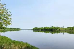 2922 Hwy 11 S, Loman, MN 56654 - Photo 5