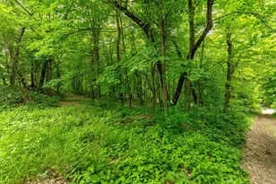 22054 Nirvana Trail, Vining, MN 56588 - Photo 25