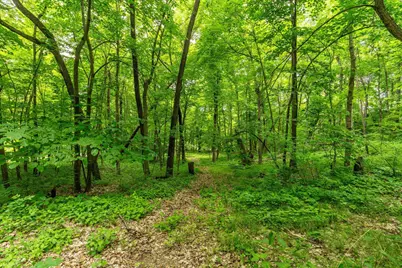 22054 Nirvana Trail, Vining, MN 56588 - Photo 27