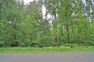 Tbd Blue Ln E, Emily, MN 56447 - Photo 1