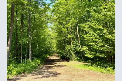 74564 Cane Creek Road, Kettle River Township, MN 55704 - Photo 1