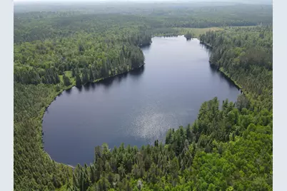 Tbd Holm Logging Road, Cook, MN 55723 - Photo 1