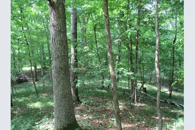 Xxx 160th Ave, Saint Croix Falls, WI 54024 - Photo 1