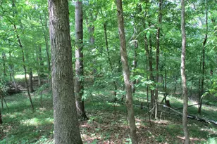 Xxx 160th Ave, Saint Croix Falls, WI 54024 - Photo 1