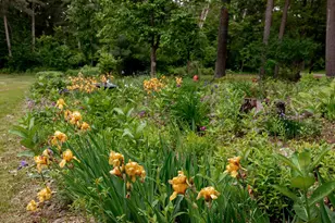 33087 Elm Ln, Motley, MN 56466 - Photo 23