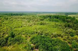 3274 County Road 1 SW, Boone Twp, MN 56623 - Photo 19