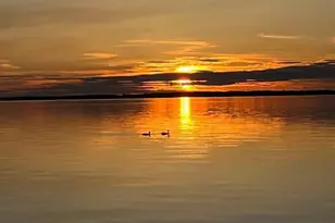 28647 State Hwy 78, Battle Lake, MN 56515 - Photo 9