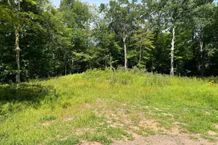 Lot 6 186th Ave, Milltown, WI 54810 - Photo 1