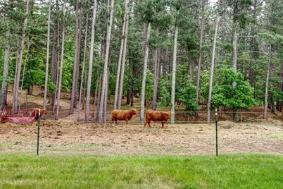 26298 County 89, Park Rapids, MN 56470 - Photo 45