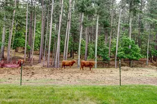 26298 County 89, Park Rapids, MN 56470 - Photo 45