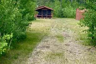 Tbd Thompson Forest Rd, Roseau, MN 56751 - Photo 1