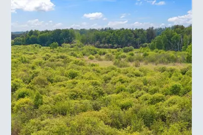 25935 310th Street, Sebeka, MN 56477 - Photo 23