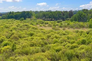 25935 310th St, Sebeka, MN 56477 - Photo 23