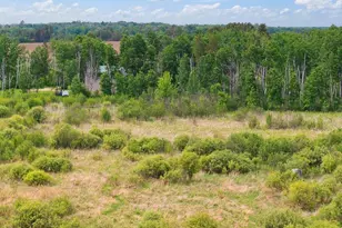 25935 310th St, Sebeka, MN 56477 - Photo 25