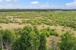 25935 310th St, Sebeka, MN 56477 - Photo 31