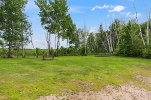 25935 310th St, Sebeka, MN 56477 - Photo 5