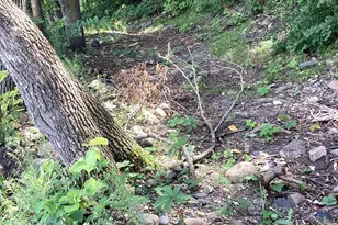 14275 Schuelke Beach Rd NW, Miltona Township, MN 56354 - Photo 21