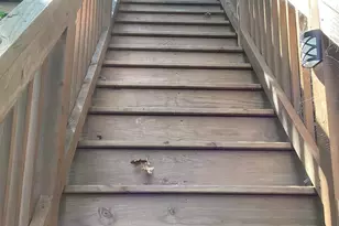 14275 Schuelke Beach Rd NW, Miltona Township, MN 56354 - Photo 13