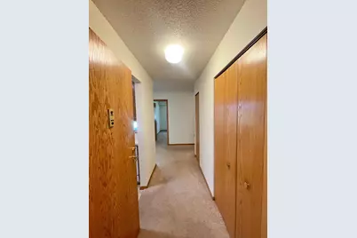 401 S County Road 5 #102, Springfield, MN 56087 - Photo 3