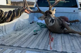 S6966 Johnson Ave, Sterling Twp, WI 54665 - Photo 39