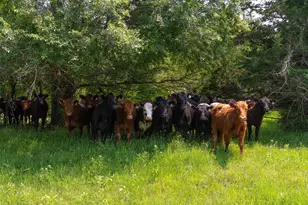 32908 285th Ave, Le Sueur, MN 56058 - Photo 25