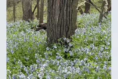 1804 Northern Viola Lane NE, Rochester, MN 55906 - Photo 63