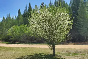 16029 71st Ave NW, Cass Lake, MN 56633 - Photo 19