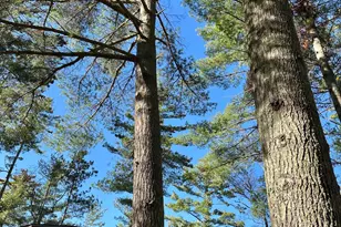 5904 Lk May Dr NW, Akeley, MN 56433 - Photo 63