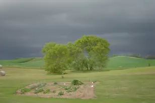 19800 Stephan Dr, Minnewaska Twp, MN 56381 - Photo 61