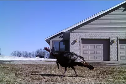 19800 Stephan Drive, Minnewaska Twp, MN 56381 - Photo 59