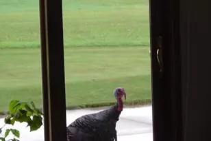 19800 Stephan Dr, Minnewaska Twp, MN 56381 - Photo 53