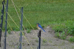 19800 Stephan Dr, Minnewaska Twp, MN 56381 - Photo 55