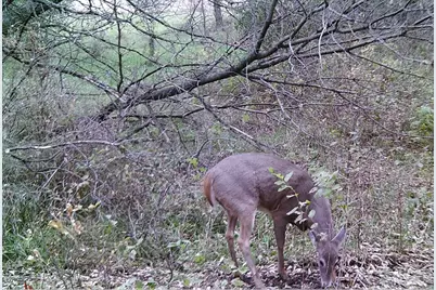19800 Stephan Drive, Minnewaska Twp, MN 56381 - Photo 57
