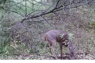 19800 Stephan Dr, Minnewaska Twp, MN 56381 - Photo 57