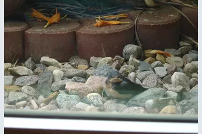 19800 Stephan Drive, Minnewaska Twp, MN 56381 - Photo 51