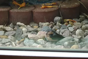 19800 Stephan Dr, Minnewaska Twp, MN 56381 - Photo 51