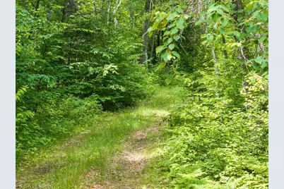 Tbd Dog Leg, Pequot Lakes, MN 56472 - Photo 11