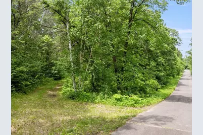Tbd Dog Leg, Pequot Lakes, MN 56472 - Photo 3