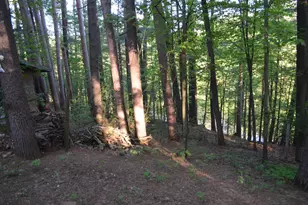 1330 21 3/4 St, Cameron, WI 54822 - Photo 11